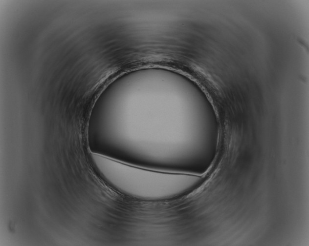 X0000092321305200709141043