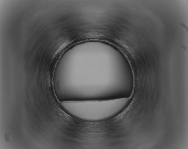 X0000092321306200709141043