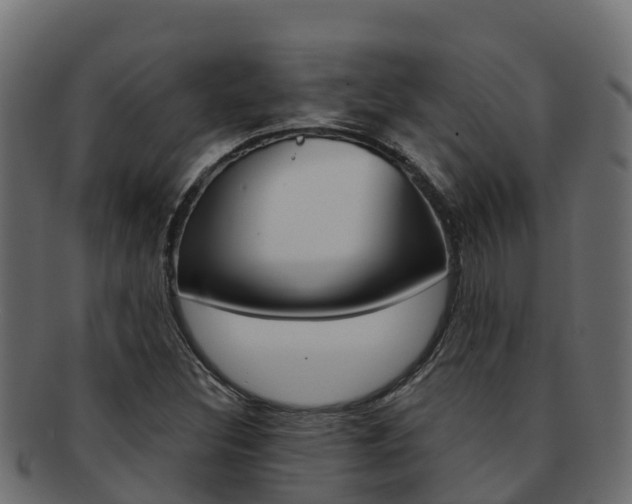 X0000092321308200709141043