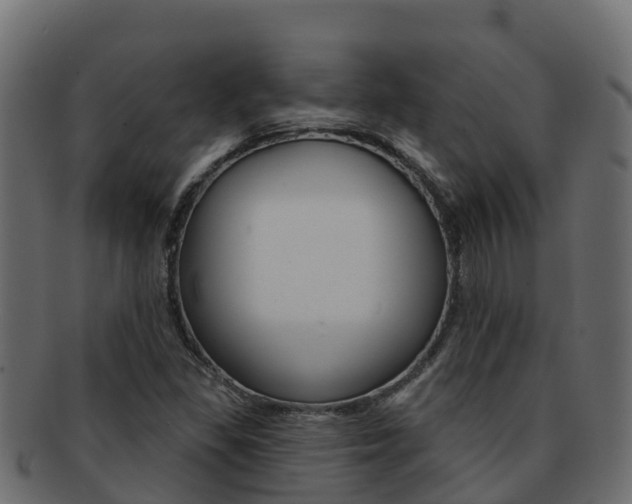 X0000092321309200709141043