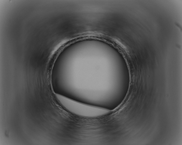 X0000092321310200709141043