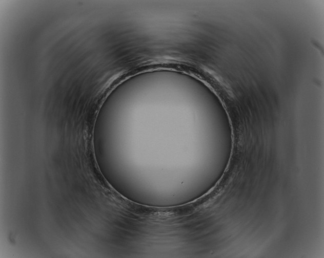 X0000092321313200709141043