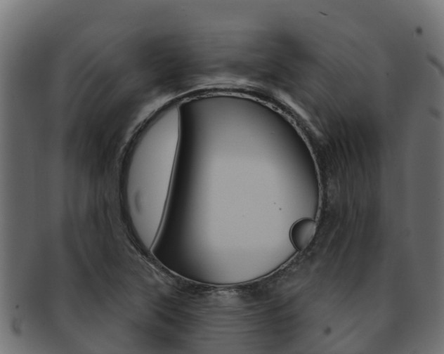 X0000092321315200709141043