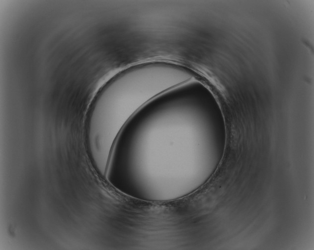 X0000092321316200709141043