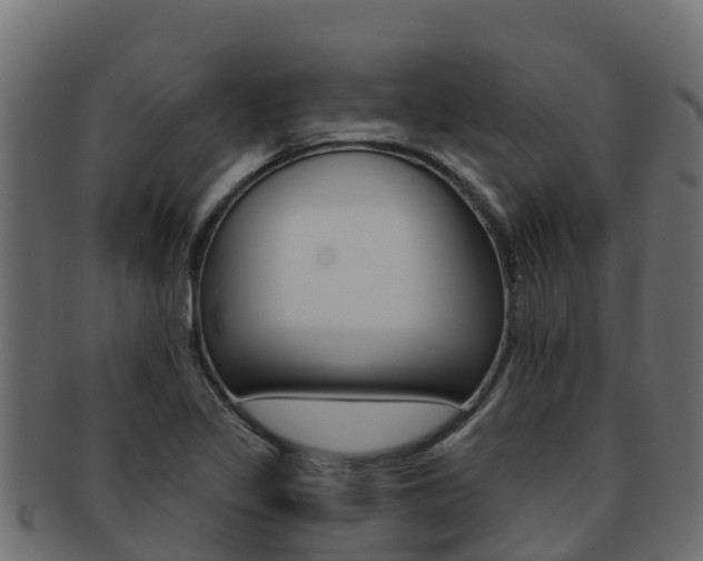 X0000092321317200709141043