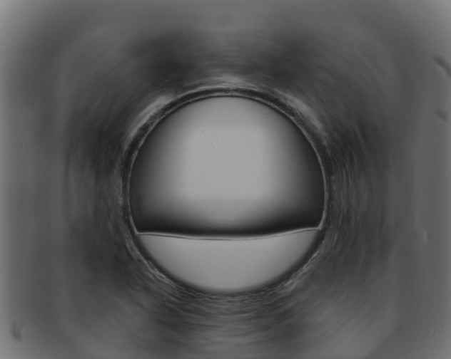 X0000092321318200709141043