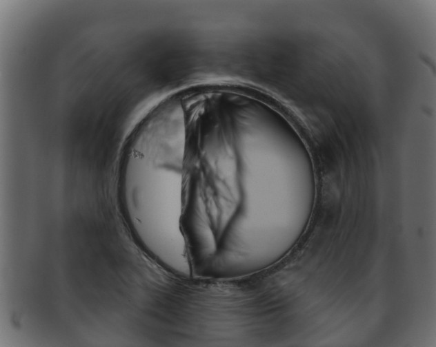 X0000092321319200709141043