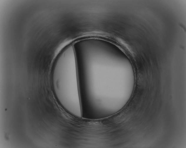 X0000092321320200709141043