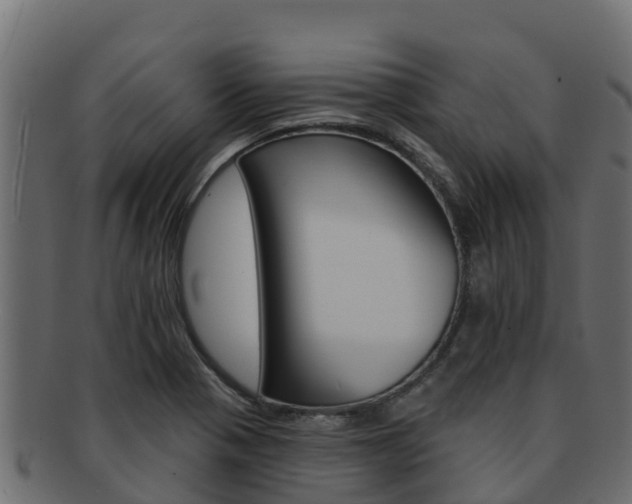 X0000092321321200709141043
