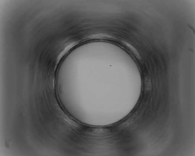 X0000092321322200709141043