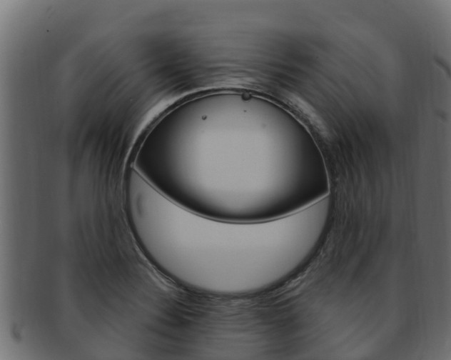 X0000092321324200709141043