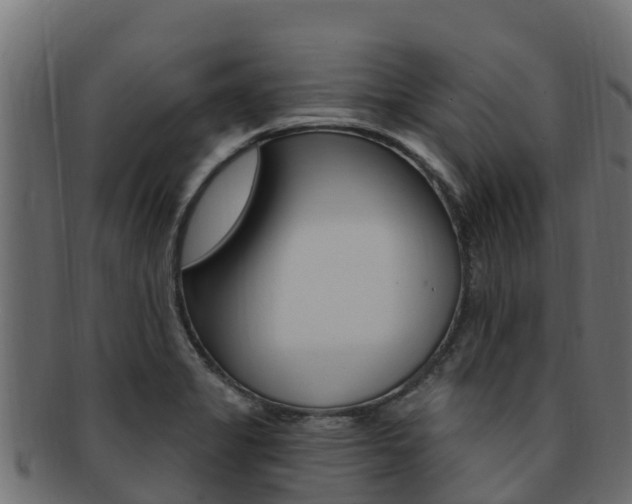 X0000092321325200709141043