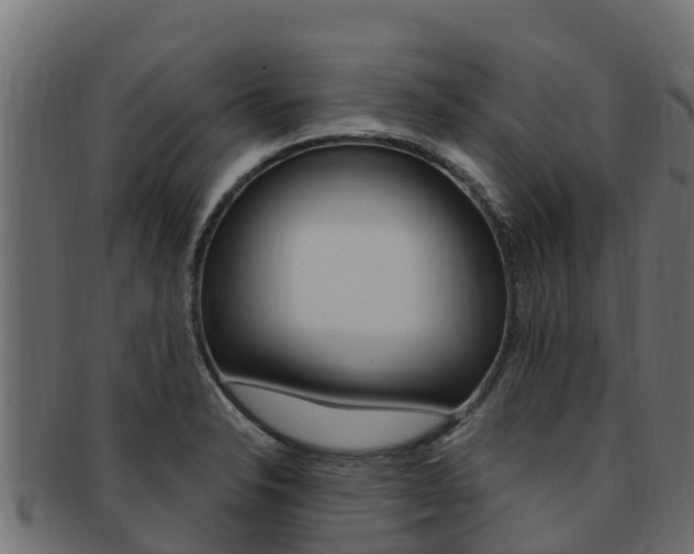 X0000092321326200709141043
