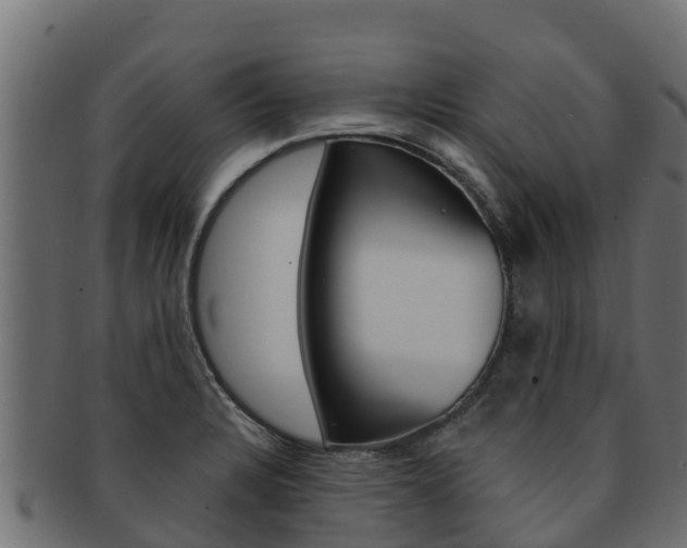 X0000092321328200709141043