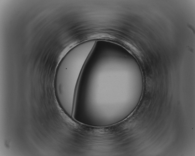 X0000092321330200709141043