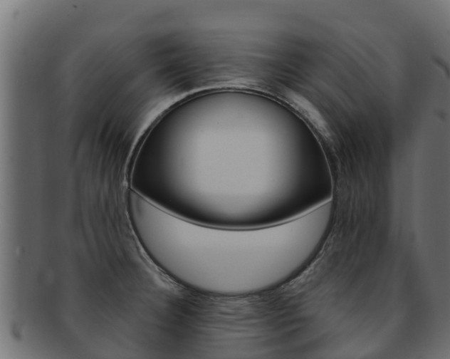 X0000092321332200709141043