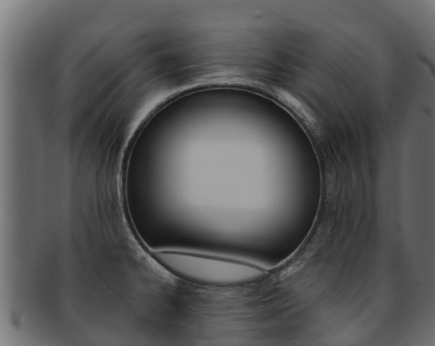 X0000092321334200709141043