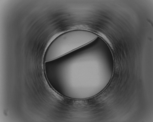 X0000092321339200709141043