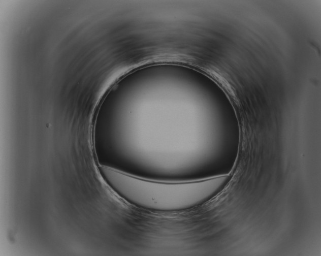 X0000092321342200709141043