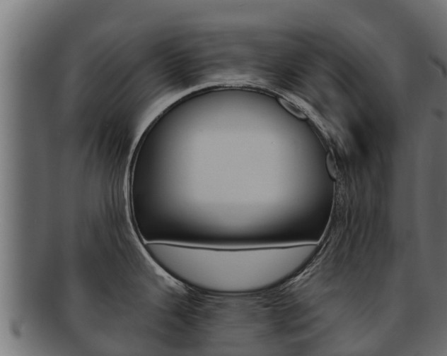 X0000092321343200709141043