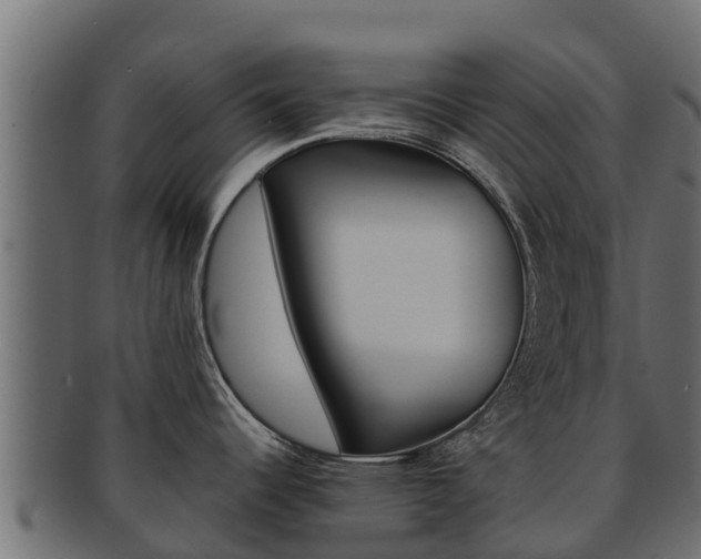 X0000092321344200709141043