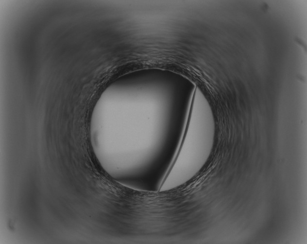 X0000092321345200709141043