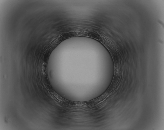 X0000092321346200709141043
