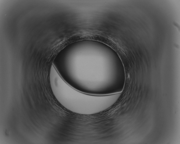 X0000092321348200709141043
