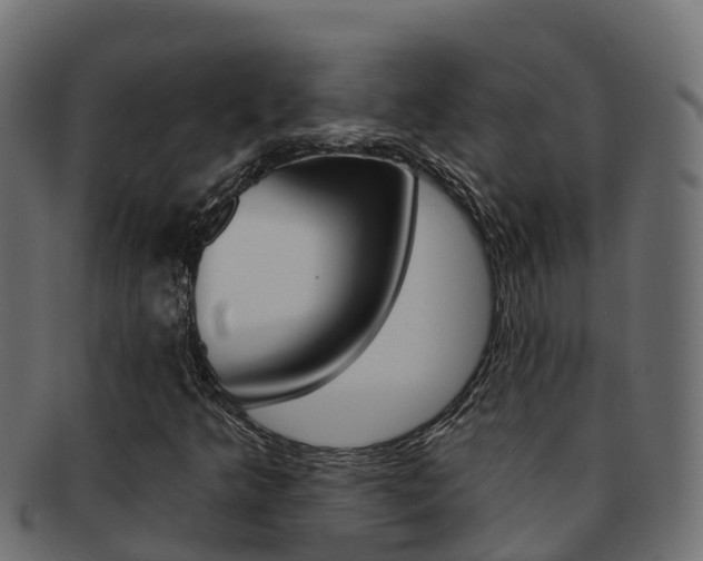 X0000092321349200709141043