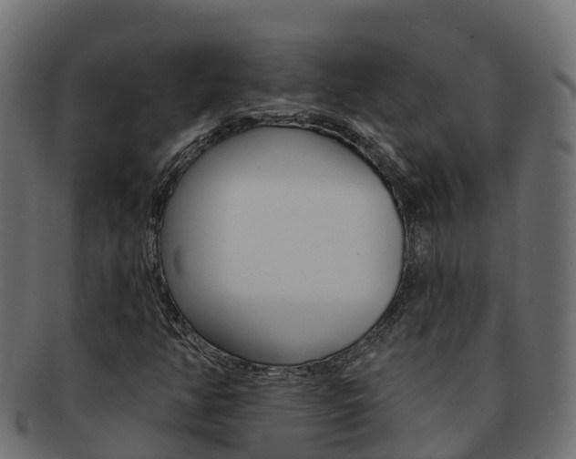 X0000092321350200709141043