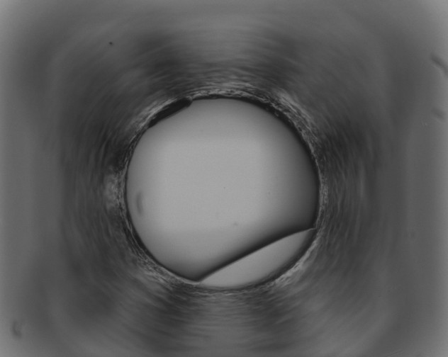 X0000092321353200709141043