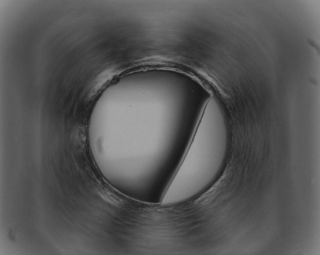 X0000092321355200709141043