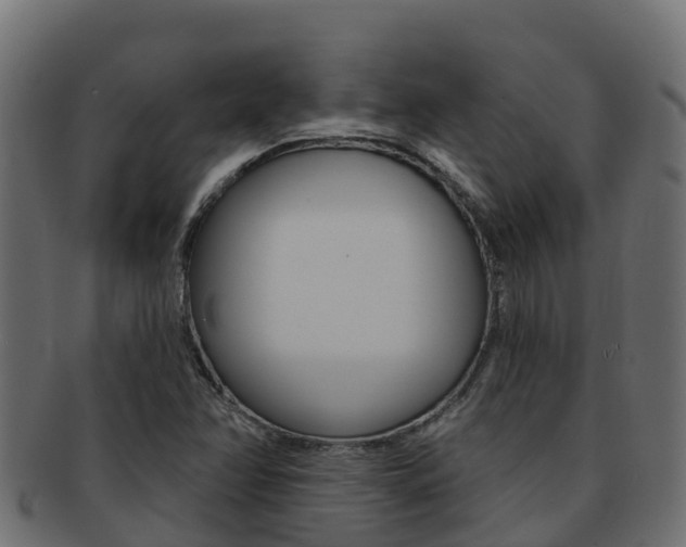 X0000092321358200709141043
