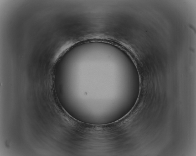 X0000092321359200709141043