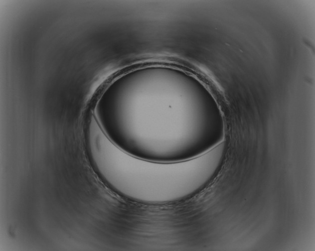 X0000092321360200709141043