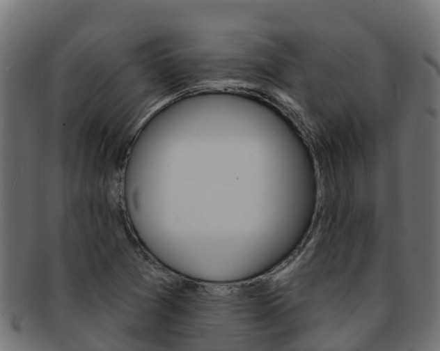 X0000092321361200709141043