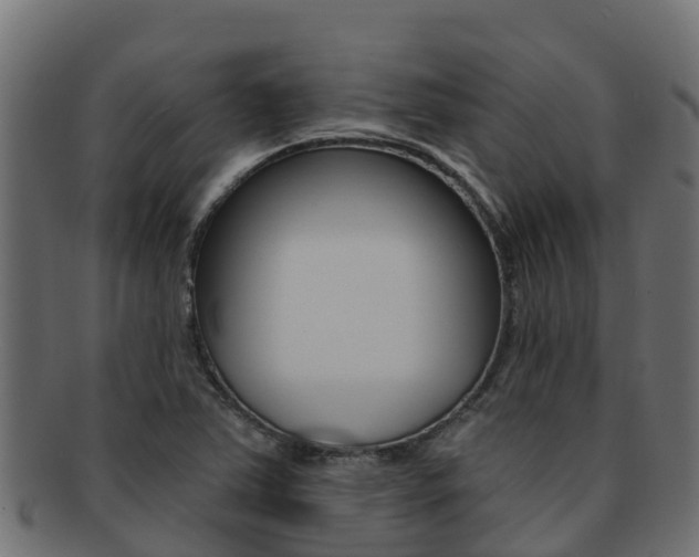 X0000092321363200709141043