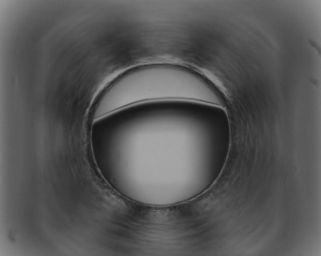 X0000092321364200709141043