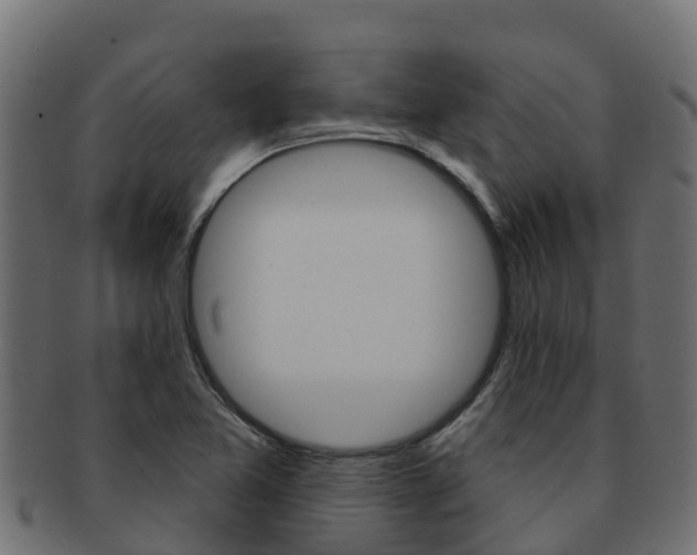 X0000092321365200709141043