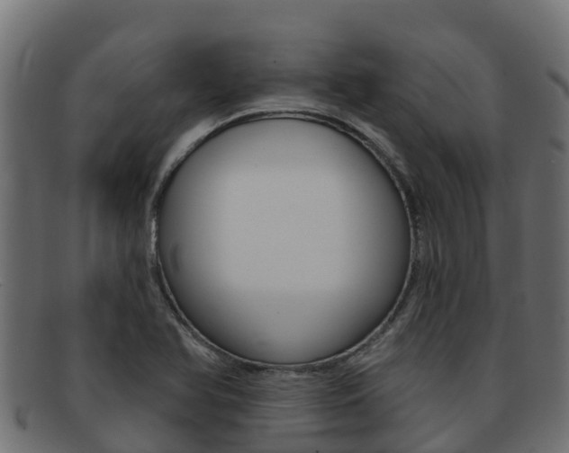 X0000092321366200709141043