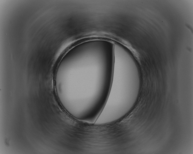 X0000092321368200709141043