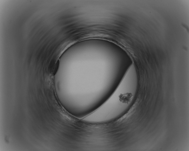 X0000092321369200709141043