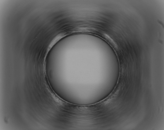 X0000092321370200709141043