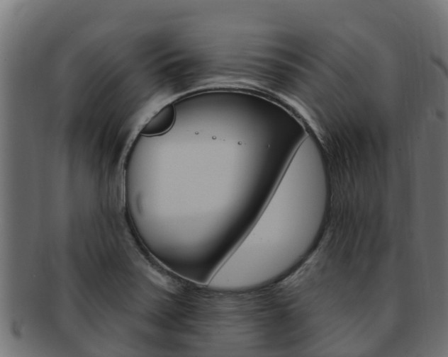 X0000092321371200709141043