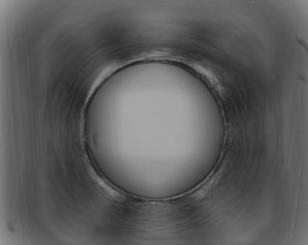 X0000092321374200709141043