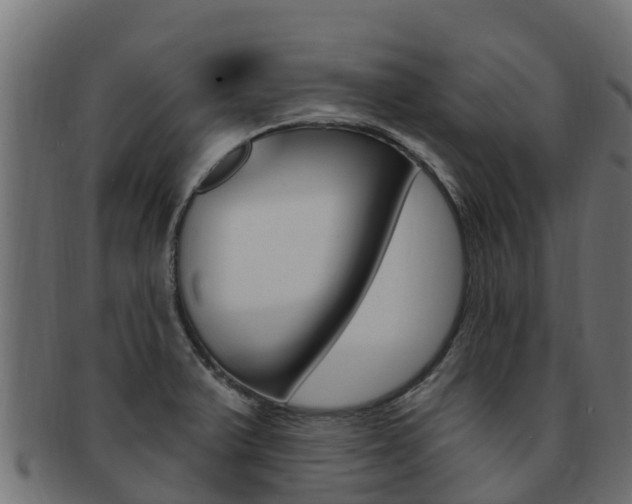 X0000092321375200709141043