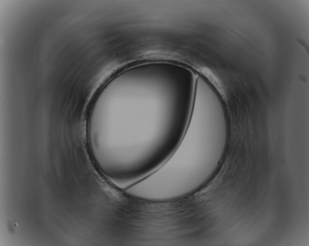 X0000092321376200709141042