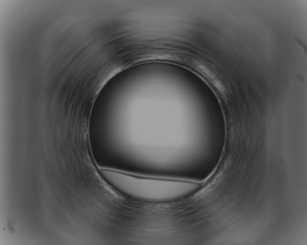 X0000092321377200709141042
