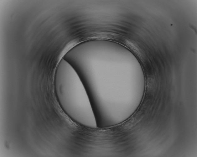 X0000092321378200709141042