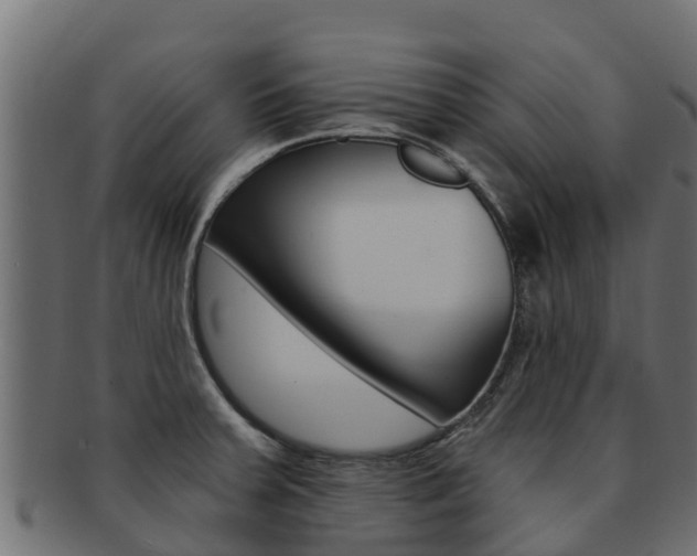 X0000092321379200709141042